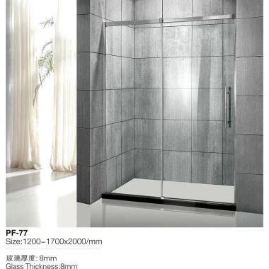 Tempered Glass Shower Door