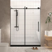 Frameless Shower Door